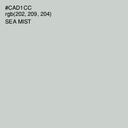 #CAD1CC - Sea Mist Color Image